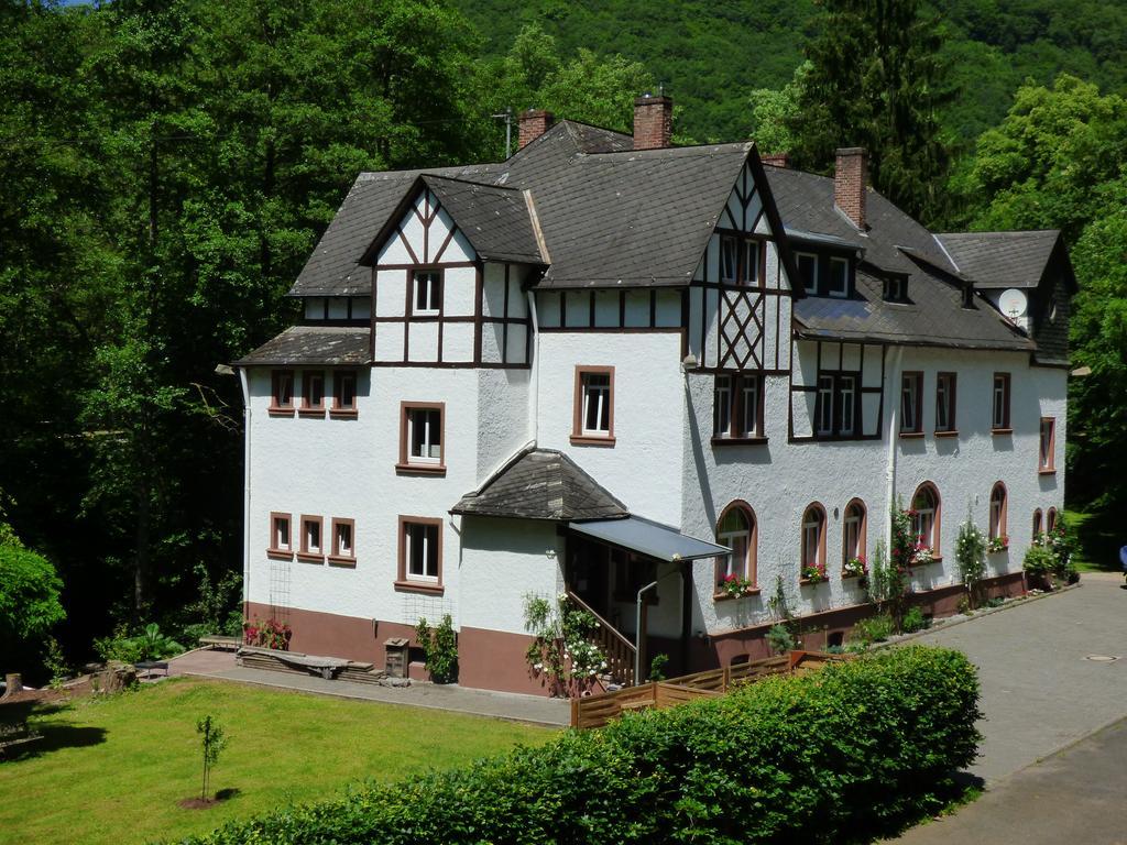 Wald Villa Üssbach Alf Esterno foto