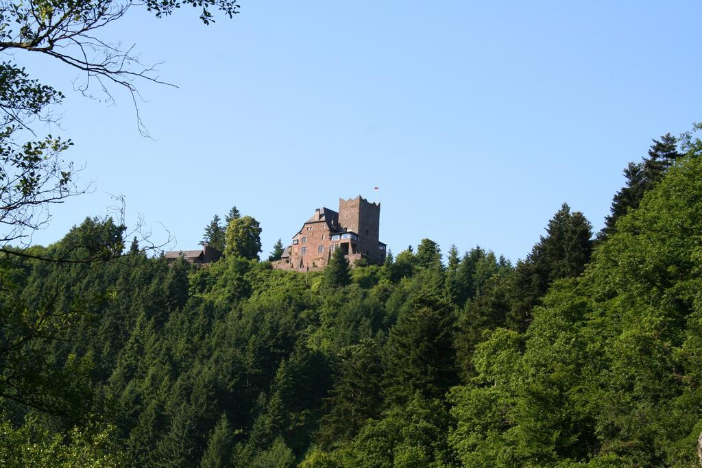 Wald Villa Üssbach Alf Esterno foto